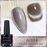 Qfdian Transparent Cat Eye Gel Nail Polish 10ml UV Nail Art Semi Permanent Hybrid Varnishes Magnet SPAR Lacquer Gel Vernis Soak