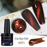 Qfdian  Transparent Cat Eye Gel polish Crystal Magnetic Gel Nail Polish Nail Semi Permanent Varnish UV Gel Nails Art Soak