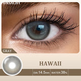 Qfdian  2pcs Colored Contact Lenses for Eyes Natural Brown Lens Gray Lens Eye Contacts Cosmetic Beauty Pupil High Quality Lens