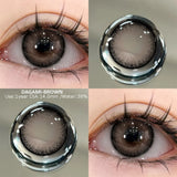 Qfdian  2pcs Colored Contact Lenses Brown Eyes Lenses Gray Lenses Blue Pupils Natural Eye Lens Colored Contacts Eye Cosmetics
