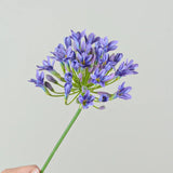 Qfdian  Luxury African agapanthus branch home table decoration silk artificial flowers Photo props hotel decor flores artificiales