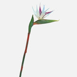Qfdian Strelitzia / Artificial Butterfly Orchid Green Plant Artificial Flowers