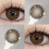 Qfdian Vienna Chocolate 14.5mm 1 Pair | 1 Year