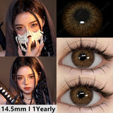 Qfdian Vienna Chocolate 14.5mm 1 Pair | 1 Year