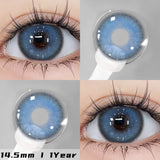 Qfdian Zurich Blue 14.5mm 1 Pair | 1 Year