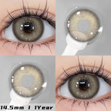 Qfdian Zurich Brown 14.5mm 1 Pair | 1 Year
