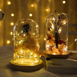 Qfdian Thin Wire Fairy Lights