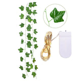 Qfdian Single Vine String Light Set