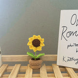 Qfdian Crochet Potted Mini Flowers