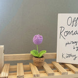 Qfdian Crochet Potted Mini Flowers