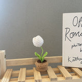 Qfdian Crochet Potted Mini Flowers