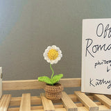 Qfdian Crochet Potted Mini Flowers
