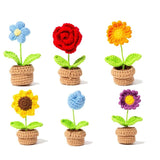Qfdian Crochet Potted Mini Flowers