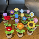 Qfdian Crochet Potted Mini Flowers
