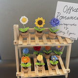 Qfdian Crochet Potted Mini Flowers