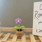 Qfdian Crochet Potted Mini Flowers