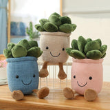 Qfdian Potted Succulents Plushies