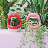 Qfdian Creative Lips Flower Pot