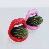 Qfdian Creative Lips Flower Pot