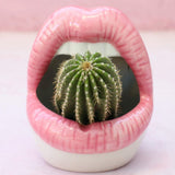 Qfdian Creative Lips Flower Pot