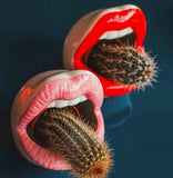 Qfdian Creative Lips Flower Pot