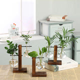 Qfdian Terrarium Flask Planter Vase