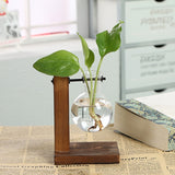 Qfdian Terrarium Flask Planter Vase