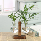 Qfdian Terrarium Flask Planter Vase