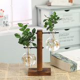 Qfdian Terrarium Flask Planter Vase