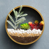 Qfdian Sand Art Wall Planters Box