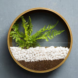 Qfdian Sand Art Wall Planters Box