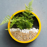 Qfdian Sand Art Wall Planters Box
