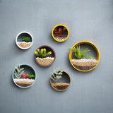 Qfdian Sand Art Wall Planters Box