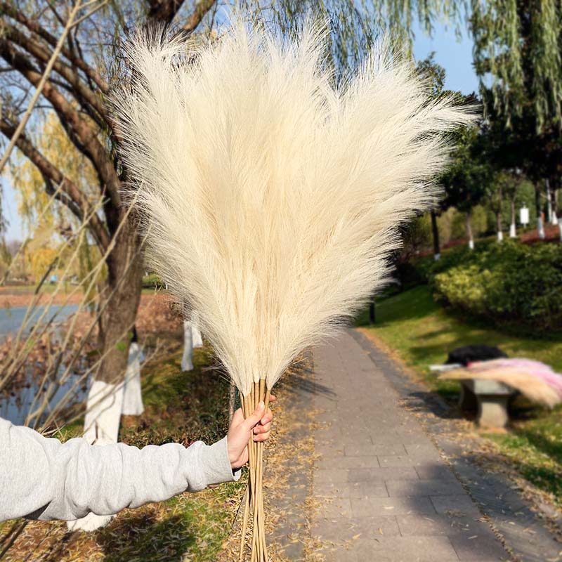 Qfdian 5Pcs 100cm Artificial Pampas Grass Bouquet DIY Vase New Year Holiday Wedding Party Home Decoration Plant Simulation Flower Reed