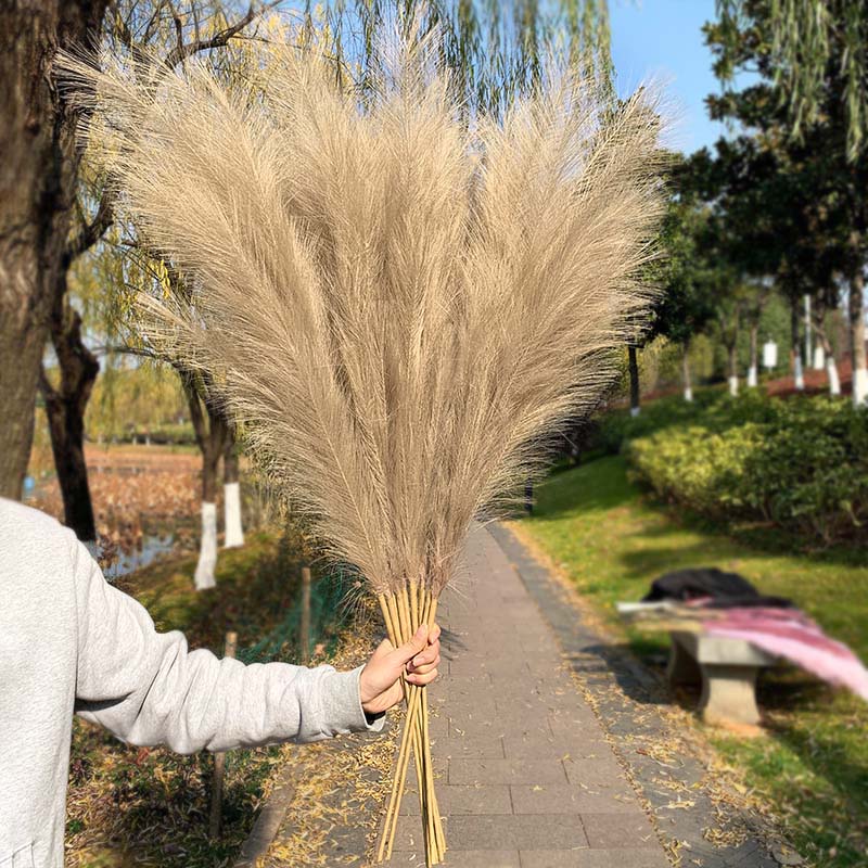 Qfdian 5Pcs 100cm Artificial Pampas Grass Bouquet DIY Vase New Year Holiday Wedding Party Home Decoration Plant Simulation Flower Reed