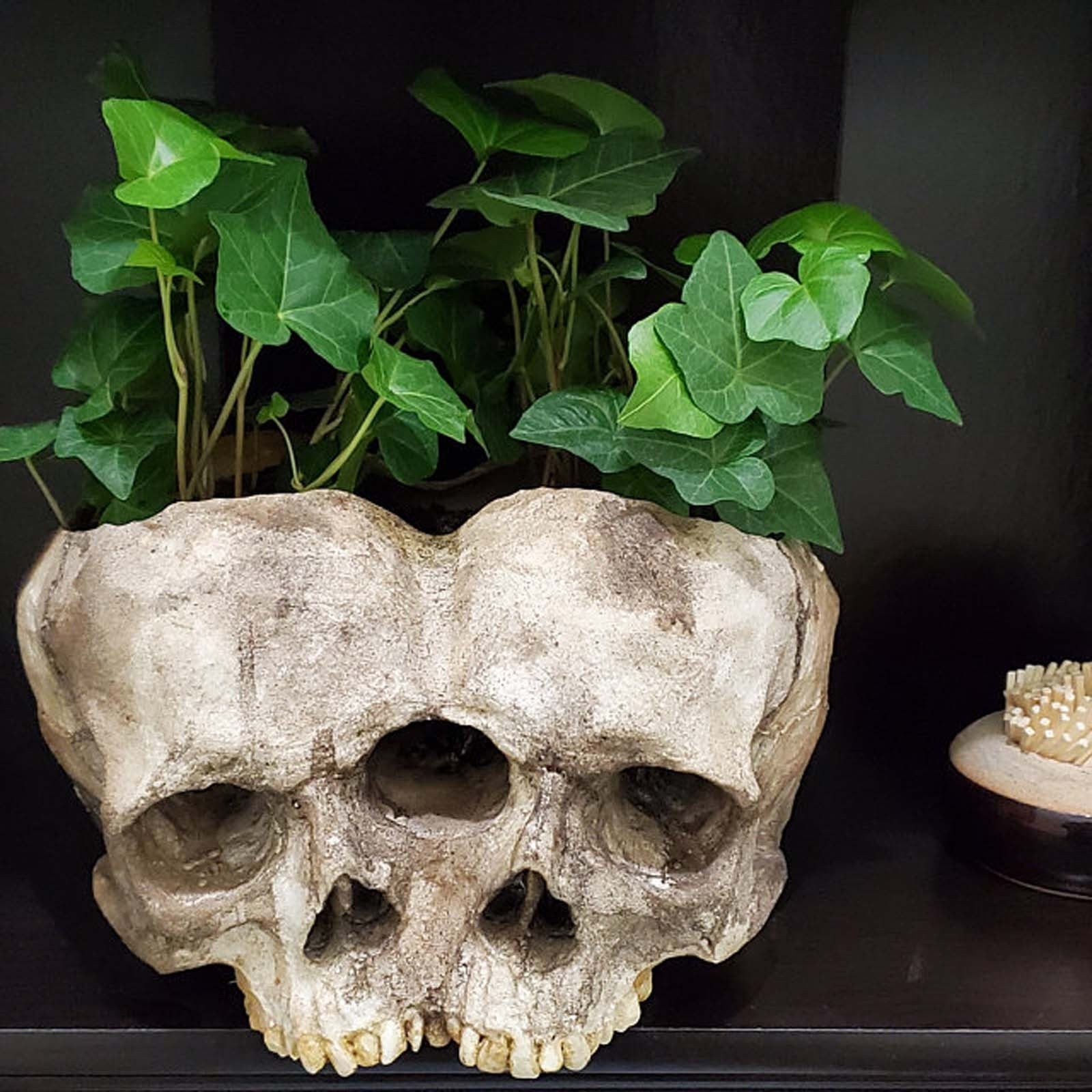 Qfdian Outdoor Resin Horror Skull Model Flower Pot New Creative Halloween Craft Jewelry Home Planter Skull Pot Home Decor