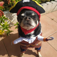 Qfdian Pet Outfits Funny Halloween Pet Dog Costumes Pirate Suit Cosplay Clothes For Small Medium Dogs Cats Chihuahua Puppy Clothing Pet Products