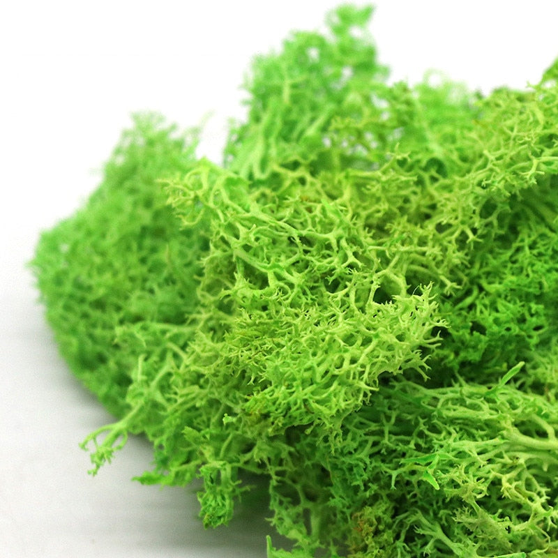 Qfdian Party decoration hot sale new 200g/bag  artificial green plants immortal fake flower Moss grass home garden decorative wall DIY flower grass accessories