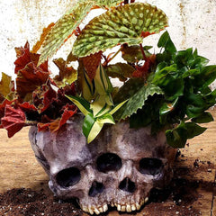 Qfdian Outdoor Resin Horror Skull Model Flower Pot New Creative Halloween Craft Jewelry Home Planter Skull Pot Home Decor