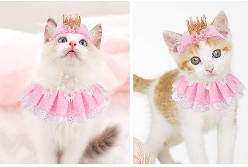 Qfdian Pet Outfits Vintage Palace Style Cat Assessoires Princess Crown Collar Suit Costume for Kittens Cosplay Birthday Party Cute Pet Dress Woman