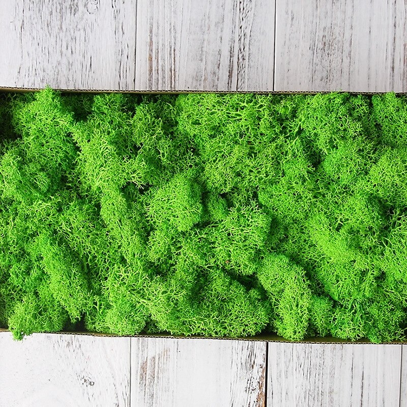 Qfdian Party decoration hot sale new 200g/bag  artificial green plants immortal fake flower Moss grass home garden decorative wall DIY flower grass accessories