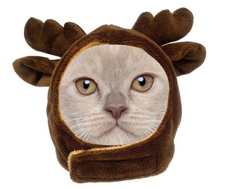 Qfdian Pet Outfits Animal Decorate Pet Cat Hat Multi Sizes Designer Soft Cotton Dogs Accessories Head Wear Adjustable Lovely Winter Kitten Caps