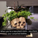 Qfdian Outdoor Resin Horror Skull Model Flower Pot New Creative Halloween Craft Jewelry Home Planter Skull Pot Home Decor