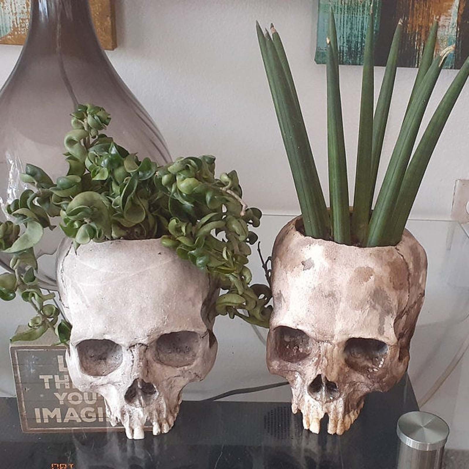 Qfdian Outdoor Resin Horror Skull Model Flower Pot New Creative Halloween Craft Jewelry Home Planter Skull Pot Home Decor