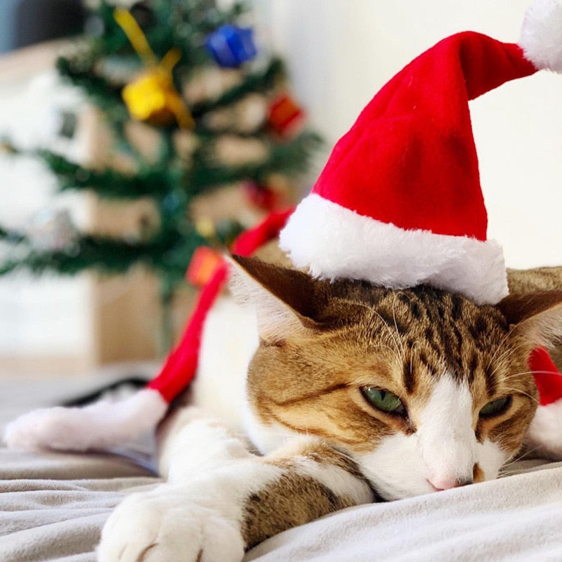 Qfdian Pet Outfits Christmas Small Plush Santa Hat for Pet Dog Cat Hat Merry Christmas Decorations For Home Cap Noel Navidad Happy New Year Gift