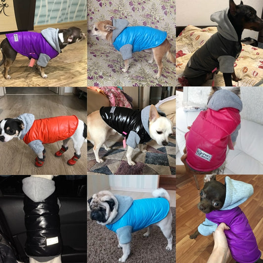 Qfdian Pet Outfits Autumn Winter Pet Clothes For Small Dogs Warm Puppy Pet Coat Jacket Waterproof Dog Hoodies Chihuahua French Bulldog Pug Clothing