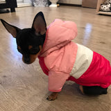 Qfdian Pet Outfits Winter Pet Clothes For Dogs Puppy Pet Warm Down Jacket Waterproof Coat For Small Medium Dogs Chihuahua French Bulldog Clothing