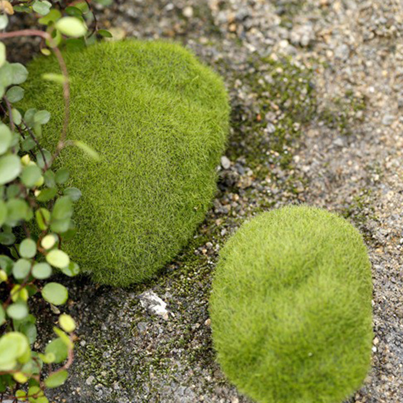 Qfdian Party decoration hot sale new Artificial Foam Green Moss Fake Plants Decorations Creative Mini Garden Lawn Floor Adornments Simulation Landscape Home Supplies