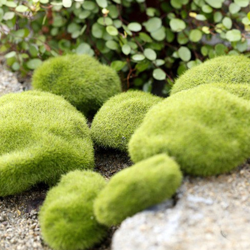 Qfdian Party decoration hot sale new Artificial Foam Green Moss Fake Plants Decorations Creative Mini Garden Lawn Floor Adornments Simulation Landscape Home Supplies