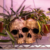 Qfdian Outdoor Resin Horror Skull Model Flower Pot New Creative Halloween Craft Jewelry Home Planter Skull Pot Home Decor
